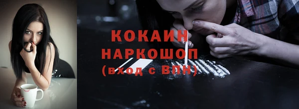 PSILOCYBIN Горняк