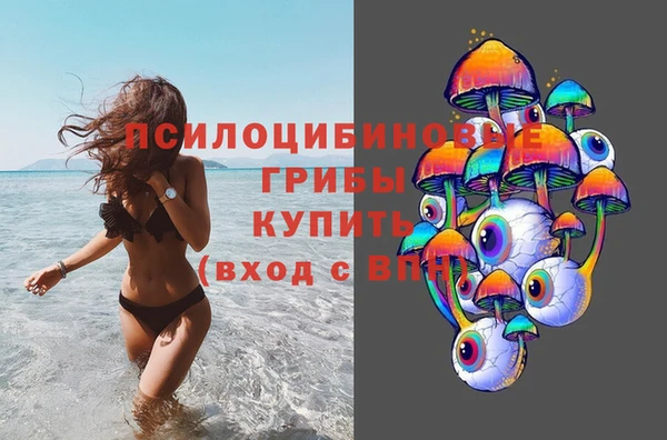 гашик Гусиноозёрск
