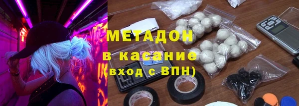 PSILOCYBIN Горняк