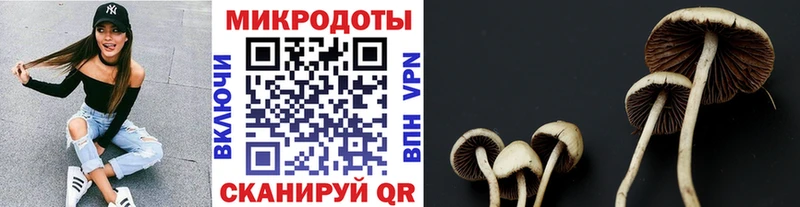 Псилоцибиновые грибы ЛСД  Купить где  Феодосия 